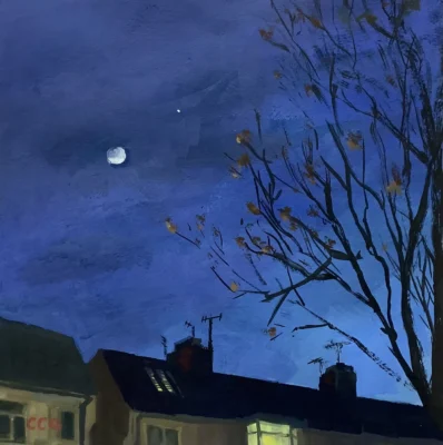 February Moon And Venus